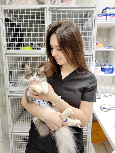 Анестезиология
