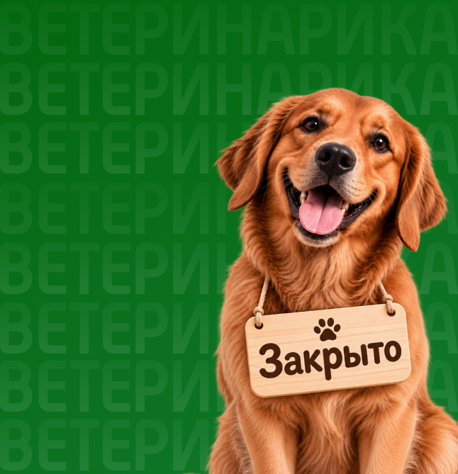 Стационар на Турку закрыт